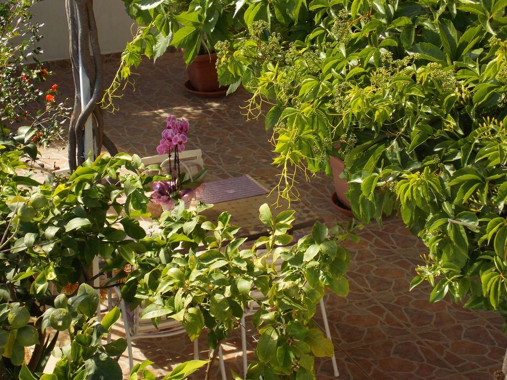 Apartmani Niki Hvar 赫瓦尔 外观 照片